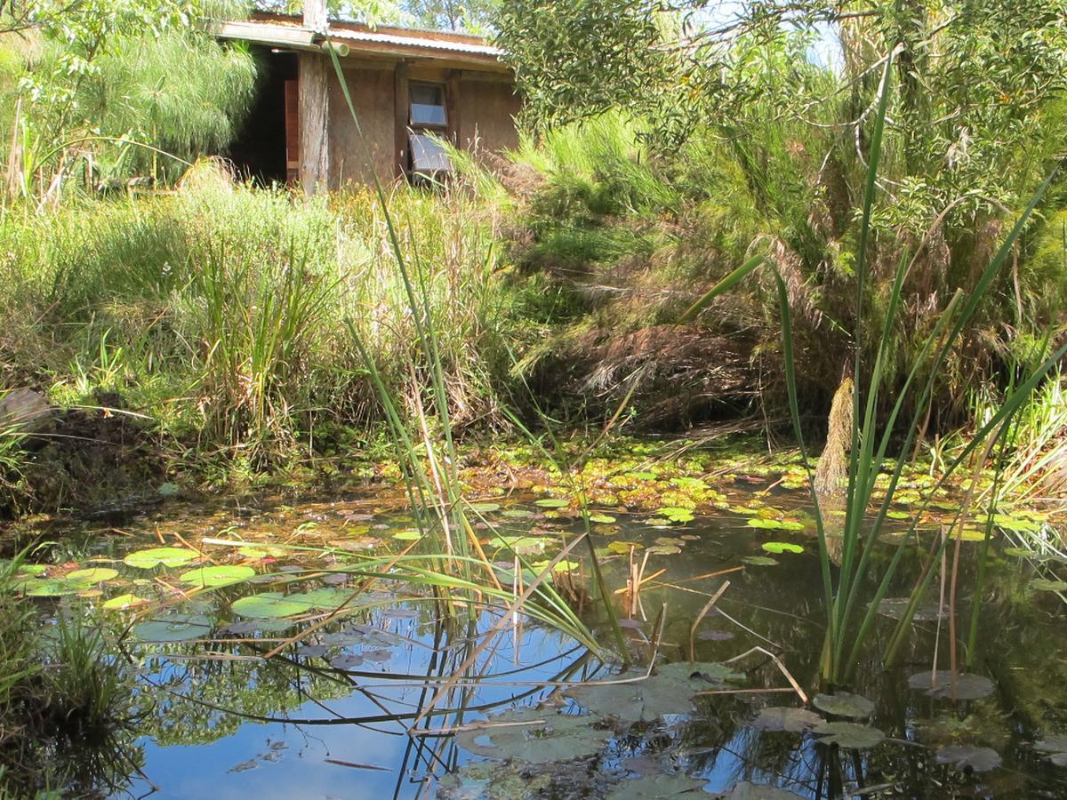Dijembe Backpackers Lodge Stormsrivier Exterior foto