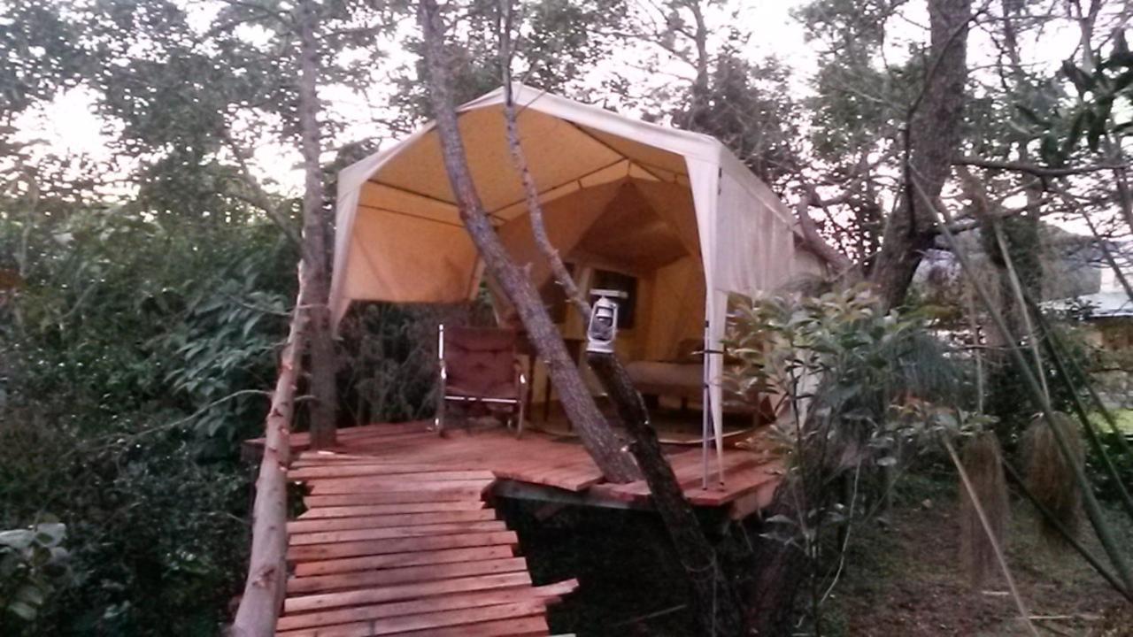 Dijembe Backpackers Lodge Stormsrivier Exterior foto
